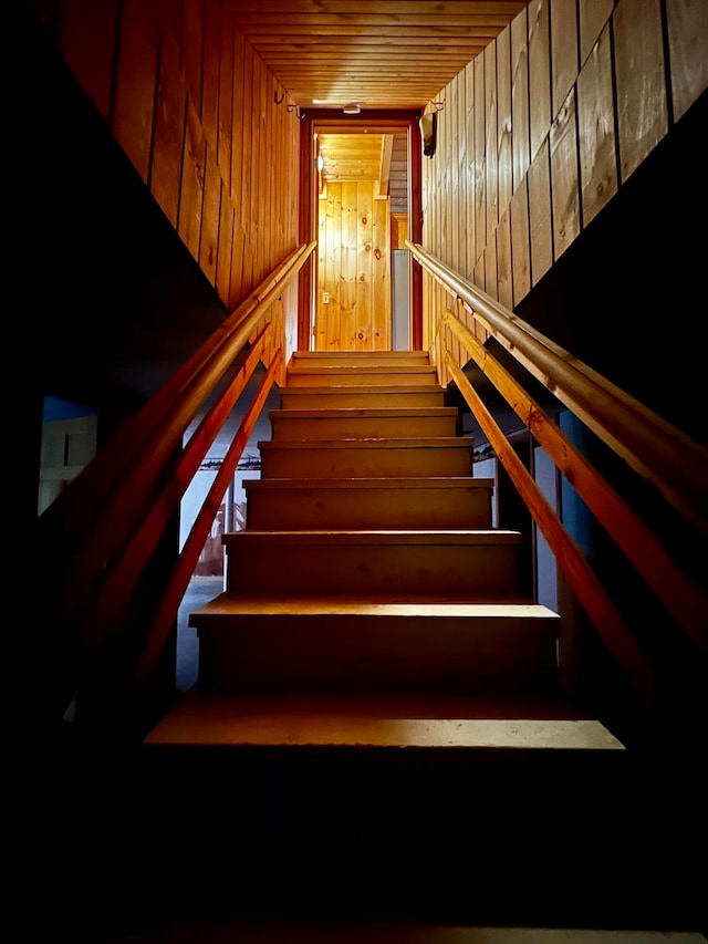 stairs featuring wooden walls and wooden ceiling