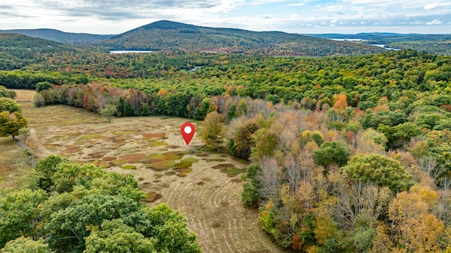 MAP15LOT56 Upper Long Pond Rd, Bucksport ME, 04416 land for sale