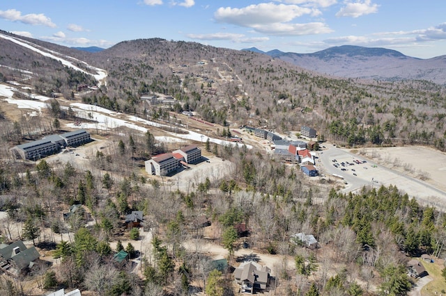 drone / aerial view featuring a mountain view