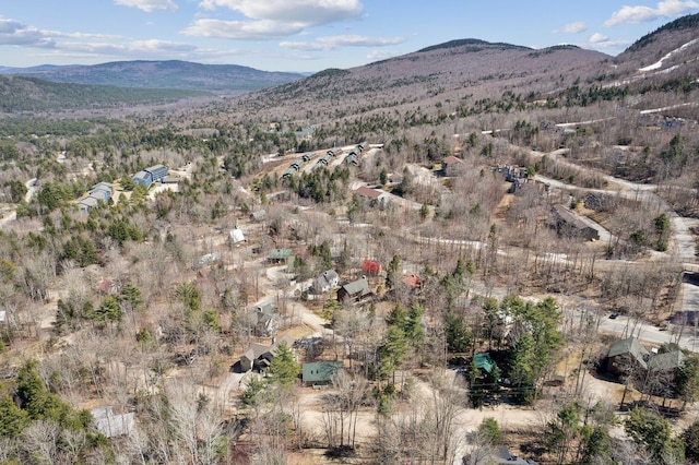 view of property view of mountains