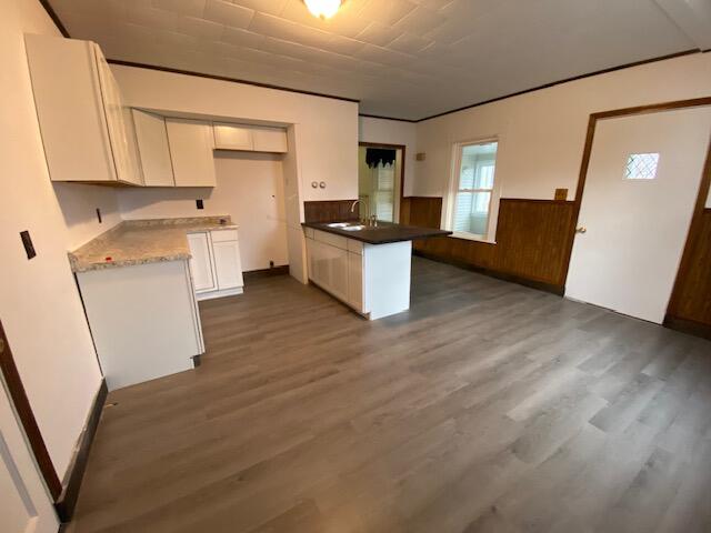 kitchen with sink, dark wood-type flooring, crown molding, and white cabinetry