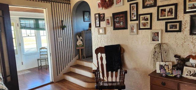 stairway with hardwood / wood-style floors