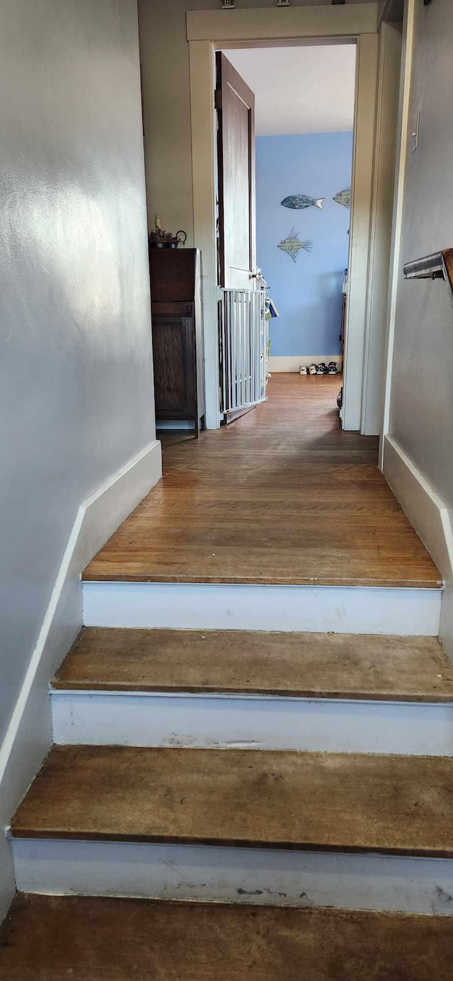 staircase featuring wood-type flooring