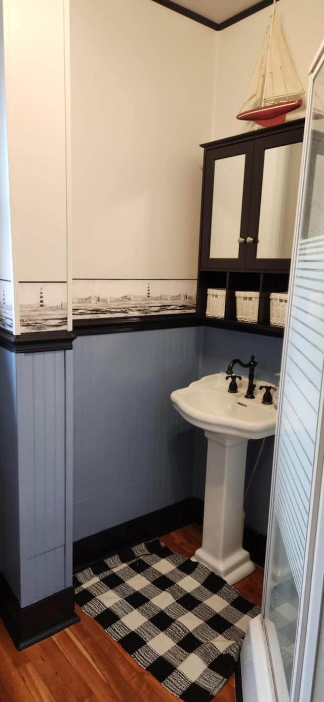 bathroom featuring walk in shower, hardwood / wood-style flooring, and sink