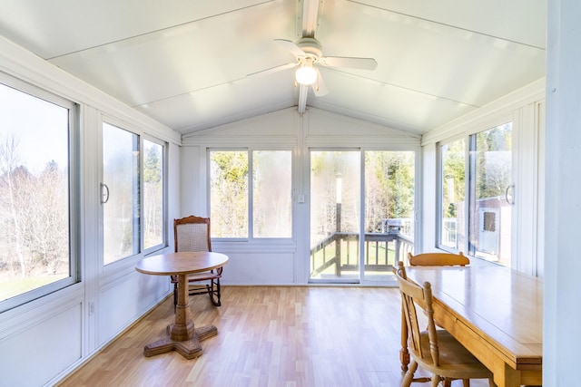 sunroom with vaulted ceiling and ceiling fan