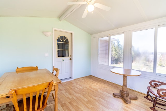 dining area with vaulted ceiling with beams, light hardwood / wood-style flooring, and ceiling fan