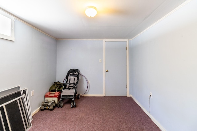 misc room with crown molding and carpet