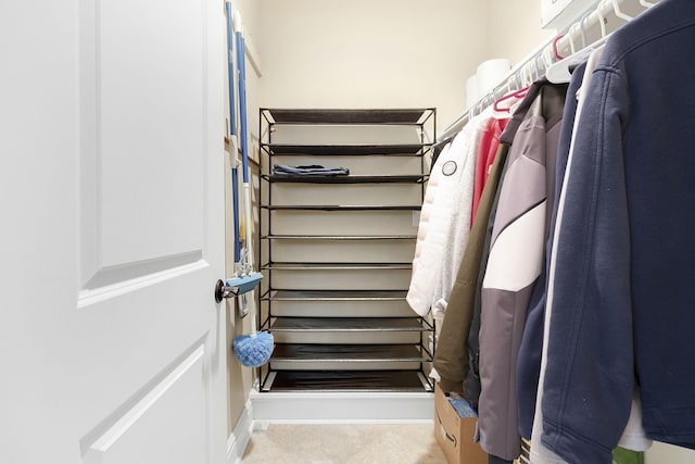 view of walk in closet