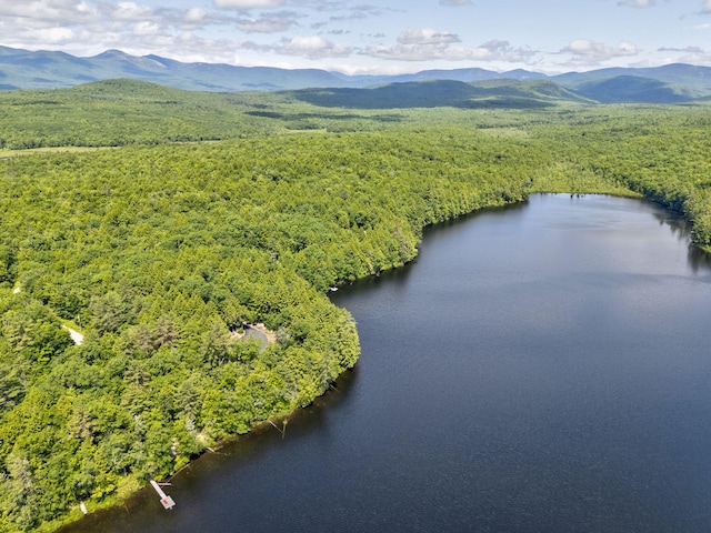 bird's eye view featuring a water and mountain view