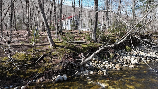 view of local wilderness with a water view