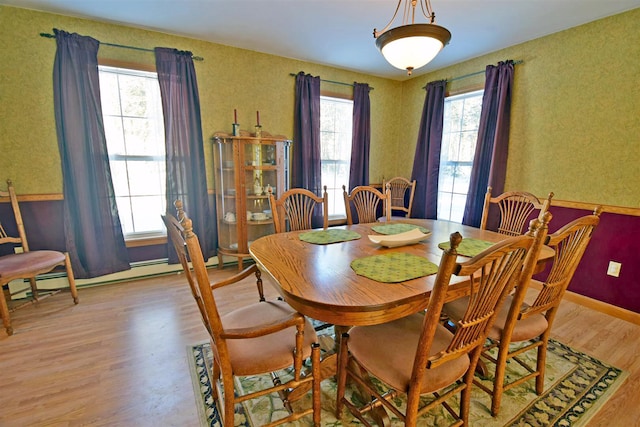 dining space featuring a healthy amount of sunlight and hardwood / wood-style flooring