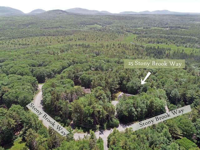 bird's eye view with a mountain view