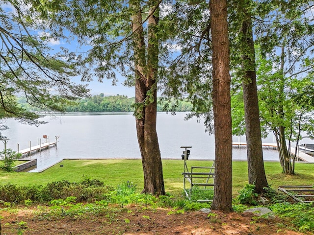 view of water feature with a dock