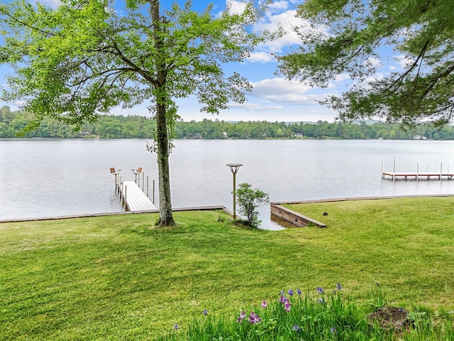 view of water feature with a boat dock