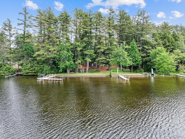 view of water feature featuring a dock