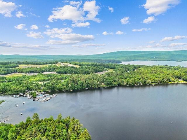 aerial view with a water and mountain view