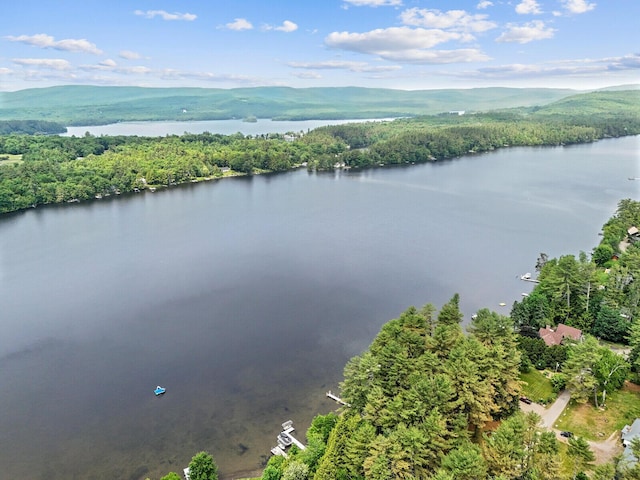 birds eye view of property featuring a water and mountain view