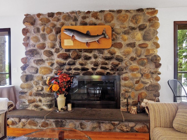 details featuring wood-type flooring and a stone fireplace