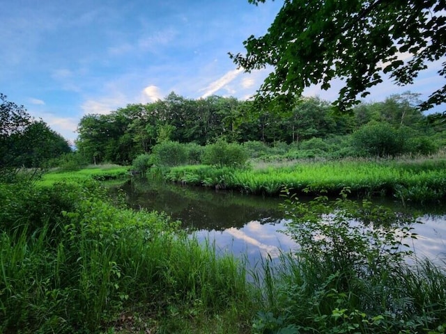 view of local wilderness featuring a water view