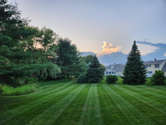 view of yard at dusk