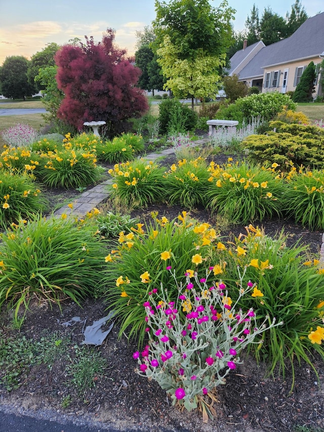 view of yard at dusk