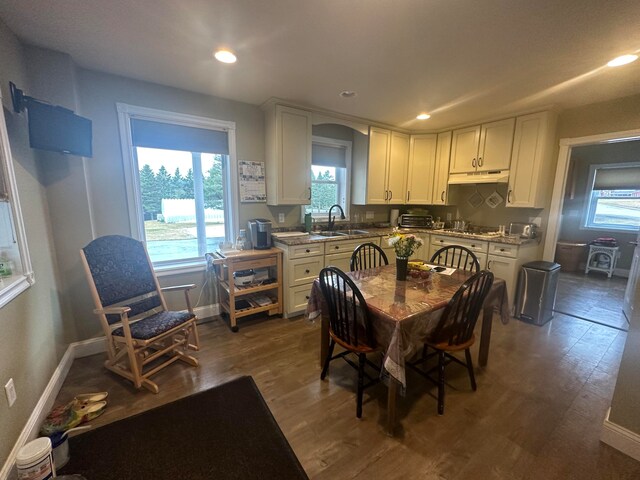 dining area with dark hardwood / wood-style flooring, a healthy amount of sunlight, and sink