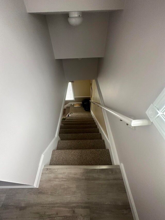 staircase with wood-type flooring