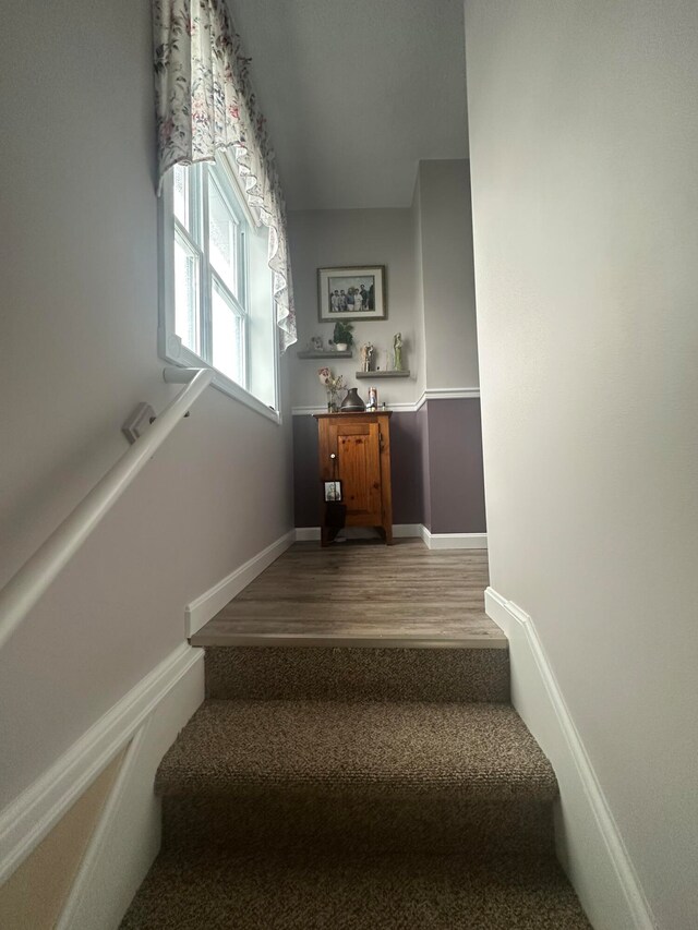 stairs with hardwood / wood-style flooring