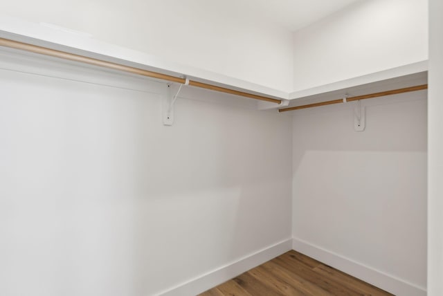 spacious closet with hardwood / wood-style floors