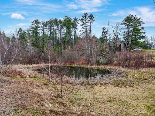 view of nature with a water view