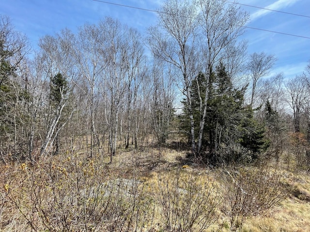 Listing photo 2 for LOT11 Reef Point Rd, Addison ME 04606