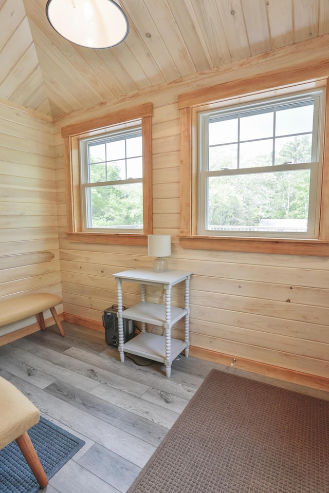 interior space featuring plenty of natural light and wood-type flooring