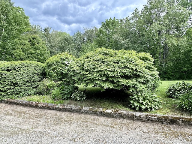 view of landscape