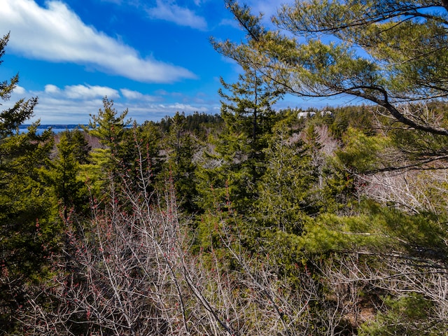 0 Rock Garden Dr, Mount Desert, ME 04675 - photo 4