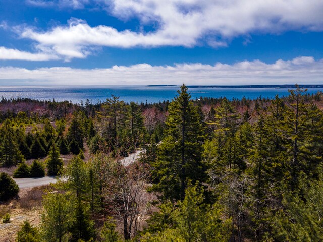 0 Rock Garden Dr, Mount Desert, ME 04675 - photo 5