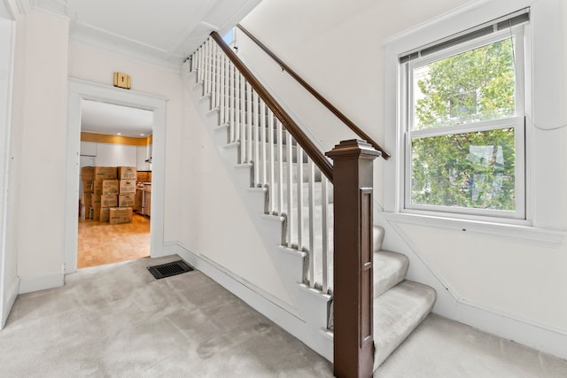 staircase featuring crown molding and hardwood / wood-style floors