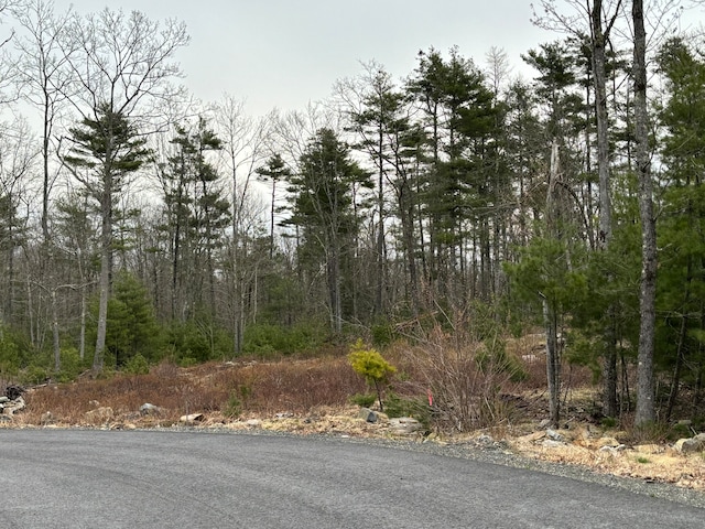 Listing photo 3 for LOT1 Webber Ridge Ln, Wells ME 04090