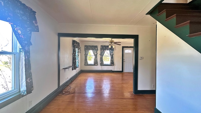 entryway featuring a healthy amount of sunlight, dark hardwood / wood-style flooring, and ceiling fan