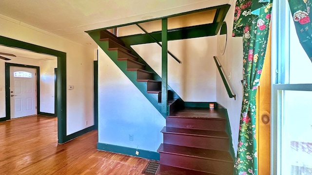 stairway with hardwood / wood-style floors