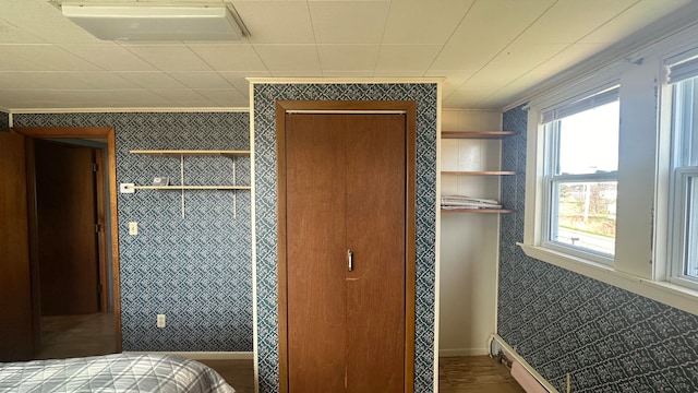 bedroom with dark hardwood / wood-style flooring