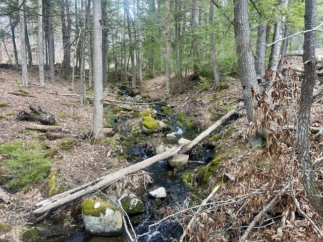 view of nature featuring a water view