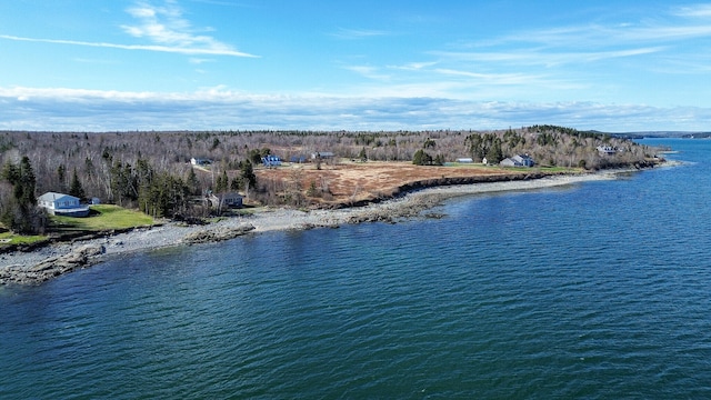 view of property view of water