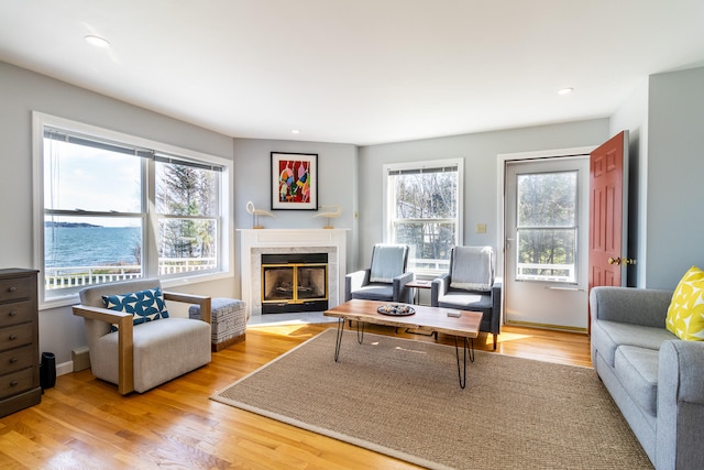 living room featuring a water view, light hardwood / wood-style flooring, and a fireplace