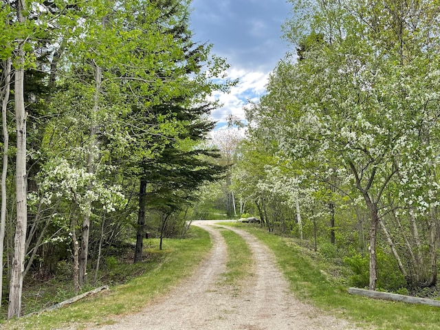 view of road