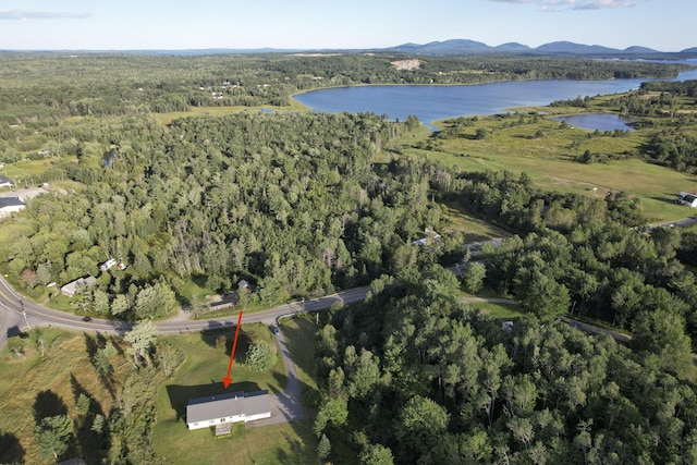 bird's eye view with a water view and a view of trees