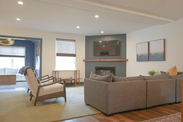 living room with hardwood / wood-style flooring and plenty of natural light