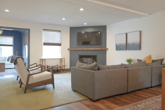 living room with hardwood / wood-style flooring