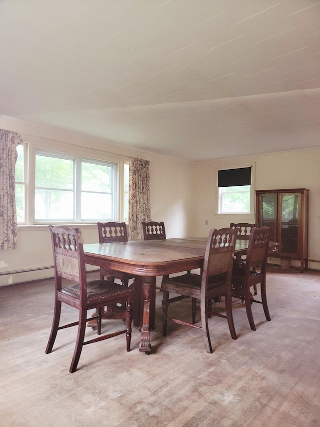 17 Otter Creek Dr, Mount Desert, ME 04660 - dining room with baseboard heating and healthy amount of natural light