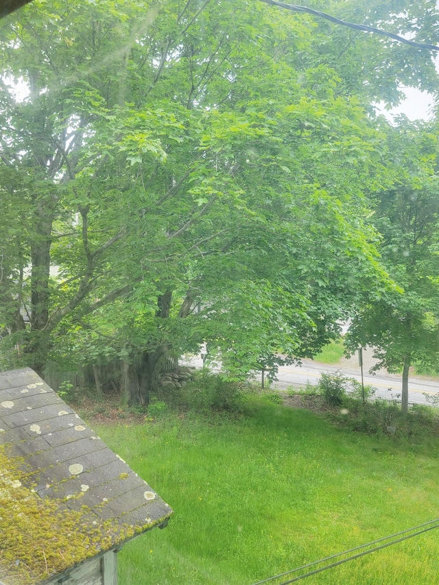 17 Otter Creek Dr, Mount Desert, ME 04660 - view of yard