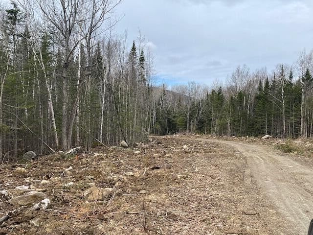 LOT117 Big Snow Way, Rangeley ME, 04970 land for sale